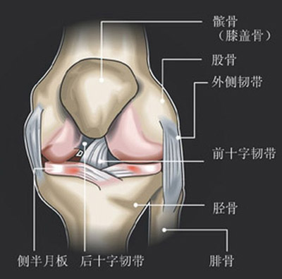 石家莊跑步機(jī)